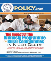 Read more about the article The Impact of the Amnesty Programme on Rural Communities in Niger Delta