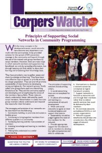 Read more about the article Principles of Supporting Social Networks in Community Programming