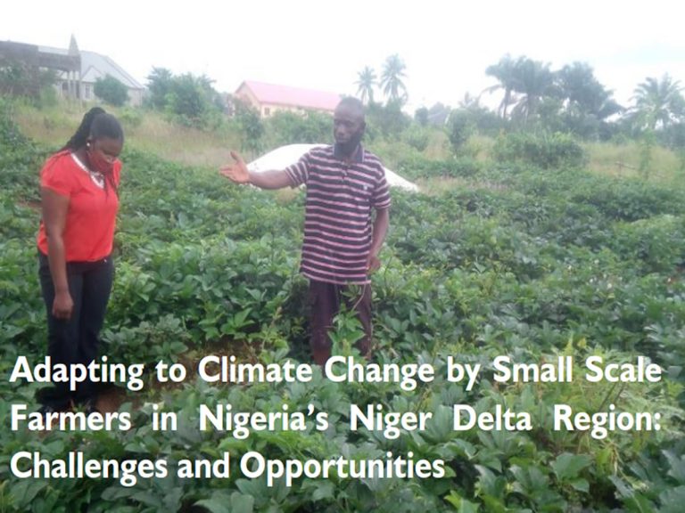Adapting to Climate Change by Small Scale Farmers in Nigeria’s Niger Delta Region: Challenges and Opportunities