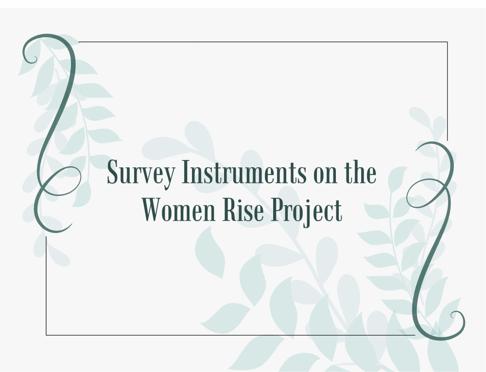 You are currently viewing Survey Instruments on the Women Rise Project