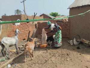 Read more about the article FEEDING OTHERS BUT HUNGRY: THE IRONIC STORY OF PASTORALIST IN NIGERIA
