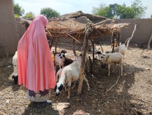 Read more about the article CAN MARGINALISATION BE WORSE OFF? THE STRUGGLES OF PASTORALIST WOMEN IN NIGERIA